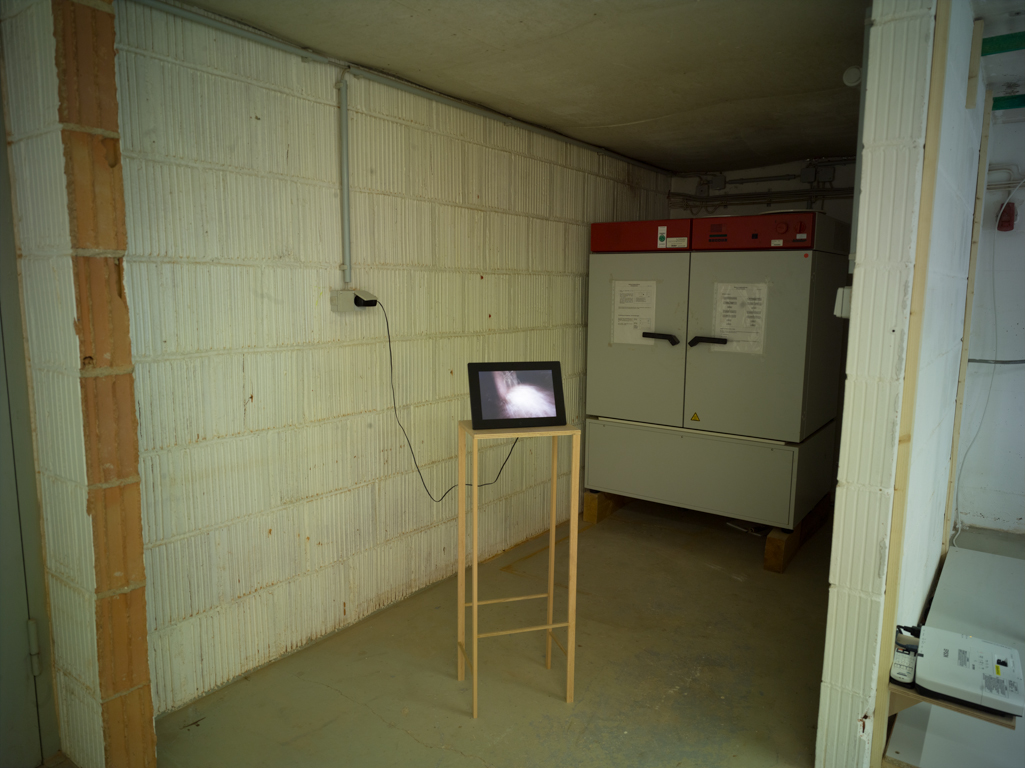 Dokumentationsfoto zur Ausstellung im Keller der KH Kassel