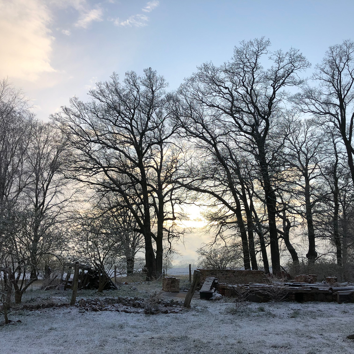 Winterstimmung am Feldrand in der Ostprignitz.