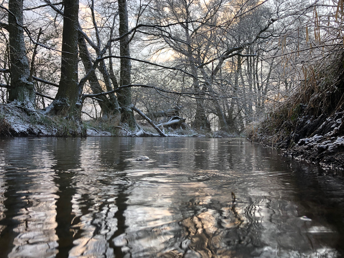 Winterstimmung am Nadelbach in der Ostprignitz.