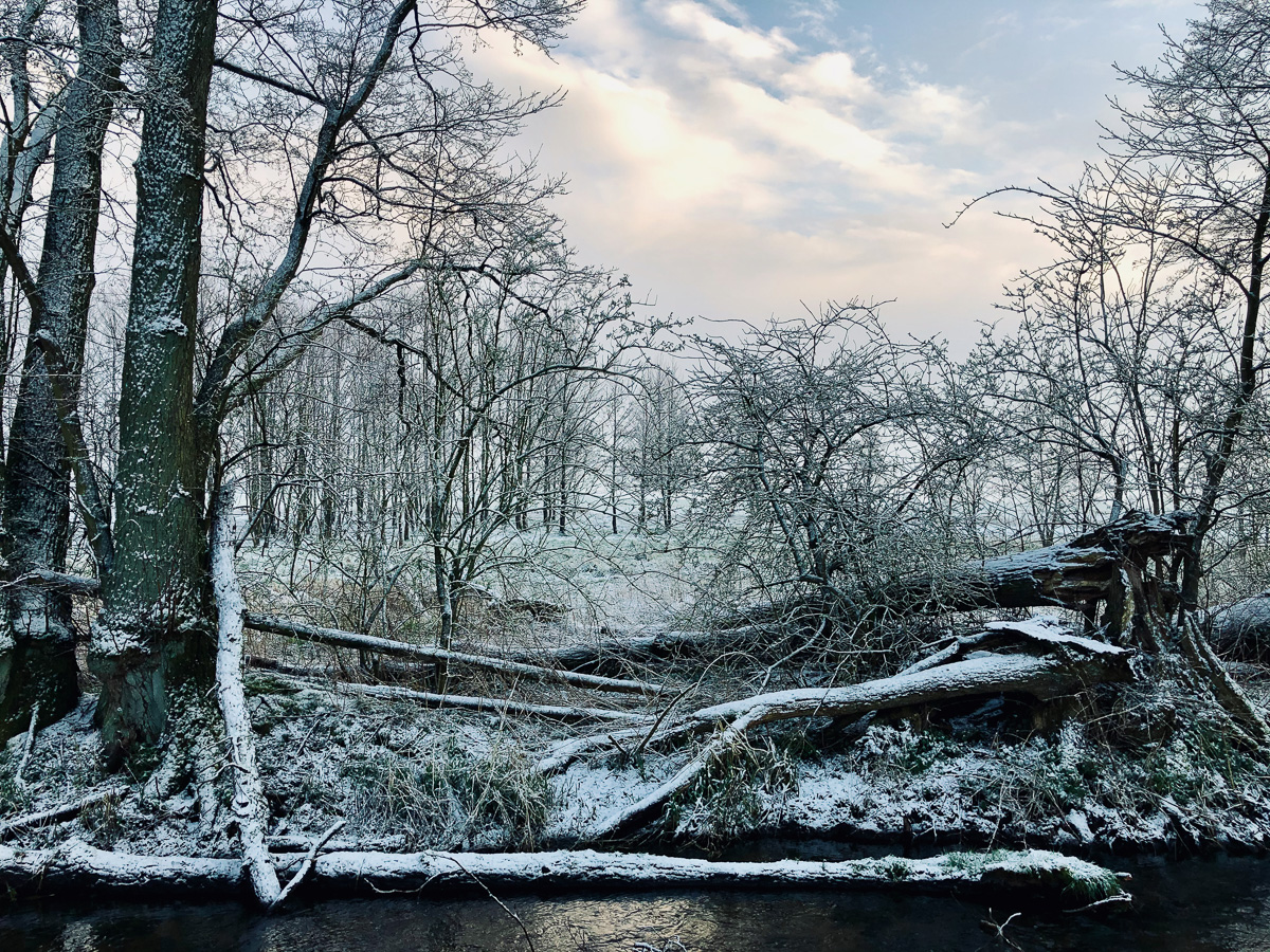 Winterstimmung an einem Bachlauf in der Prignitz.