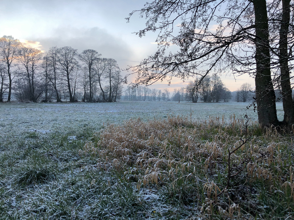 Blick auf ein rauhreifbedecktes Feld in der Prignitz.