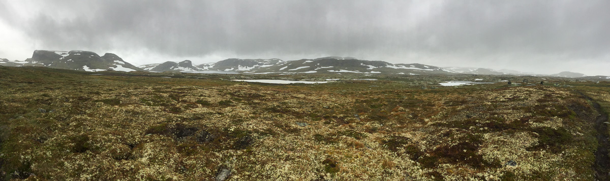 Panoramaaufnahme eine kargen Hochebenenfläche im norwegischen HArdangervidda-Nationalpark.